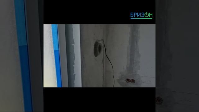 Баллу 100
