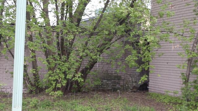 2. На стрелке (5)