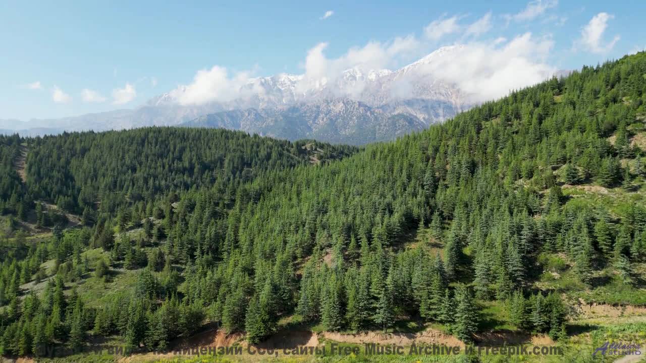 Он доказывает, что мир все еще полон чудес! - Thinking -- Duncan Reid and the Big Heads -- Live at M