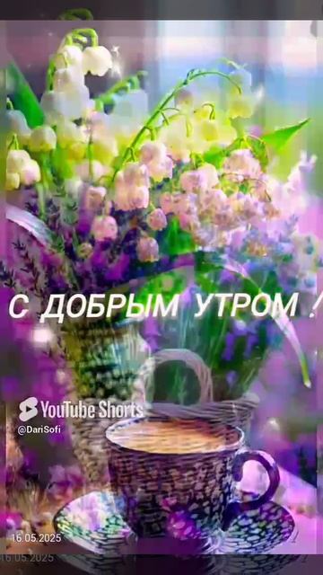 VID_20250516133829