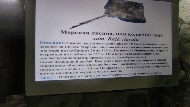 Океанариум. Ялта