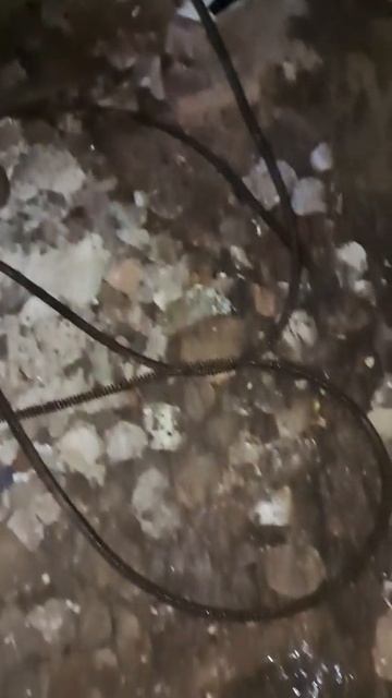Голубые дали, 19
