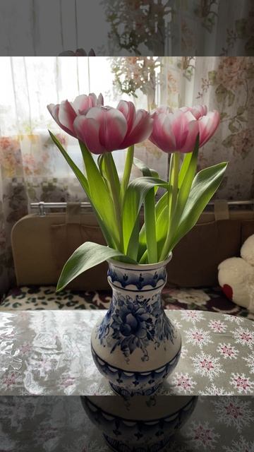 Тюльпаны