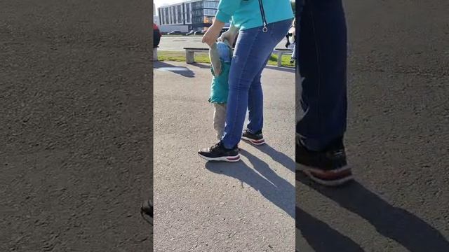 VID-20250515-WA0048