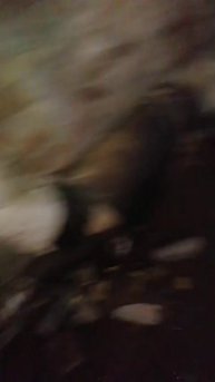 Свердлова, 94