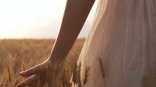 Женщина в белом платье, идёт по пшеничному полю и прик?
