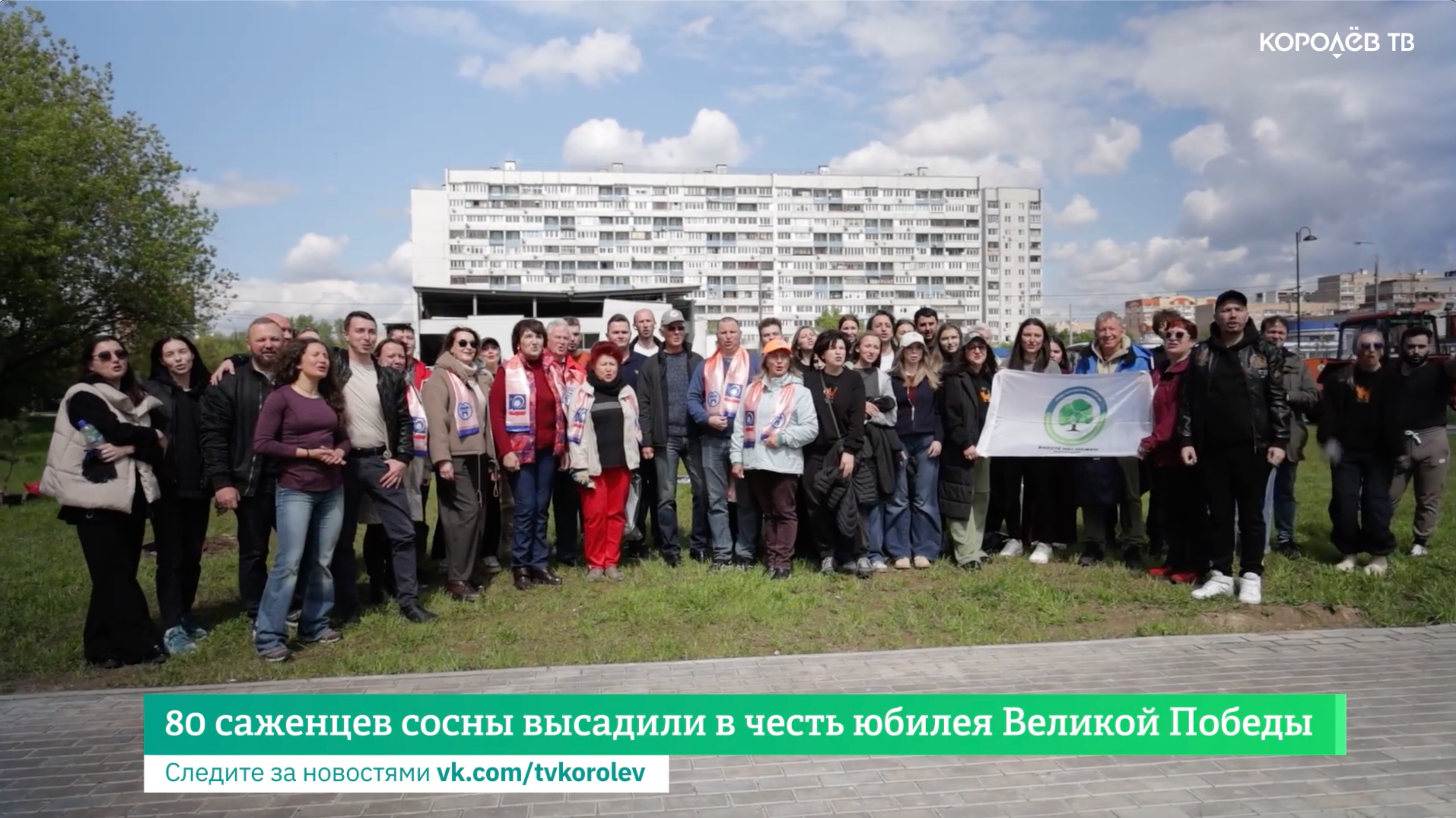 80 саженцев сосны высадили в честь юбилея Великой Победы