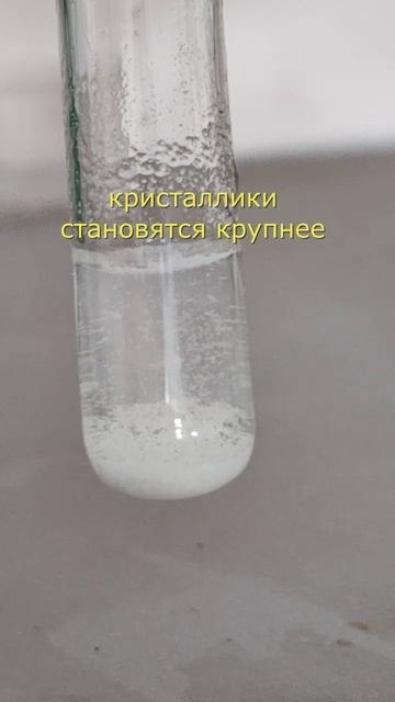 PbCl2 снежок