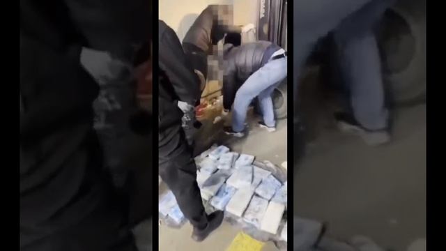 ❗️Таможенники из Петербурга обнаружили в бананах из Латинской Америки кокаин на сумму полмиллиард...