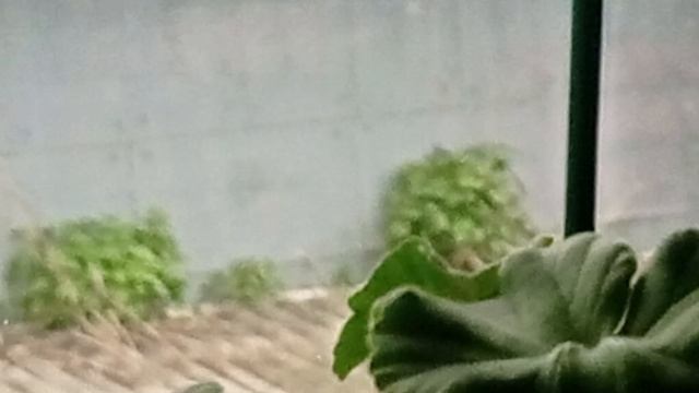 1000007388.mp4