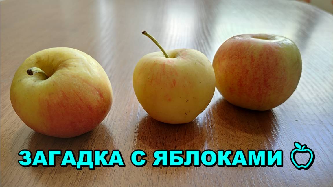 ЗАГАДКА. У меня и у тебя по одному яблоку 🍏 Если мы с тобой обменяемся яблоками у нас всё ещё