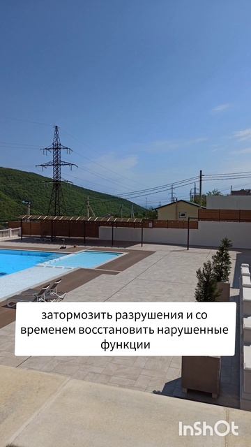 Для чего нужны Трансфер Факторы?