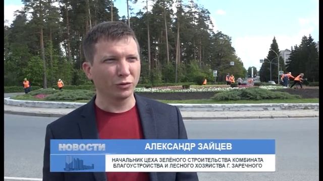 На клумбы Заречного высадят 190 тысяч петуний