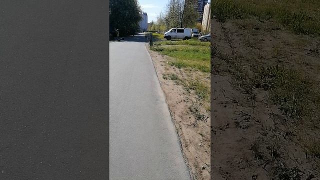 Природа и погода Санкт-Петербург Товарищеский проспект 16.05.2025