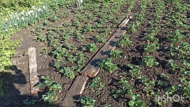 Новый день , работа старая.