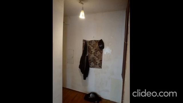 страшные истории. квартира 56