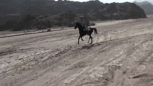 Опять горы нас позвали. The mountains with HorseRiding Hurghada (Charlotte Freeman)