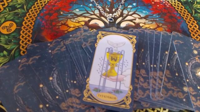 VID_20250516_144256