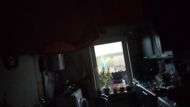 Жизнь в деревне.🏡 Жёлтые тюльпаны.🌷 Дождь.☔ Радуга.🌈