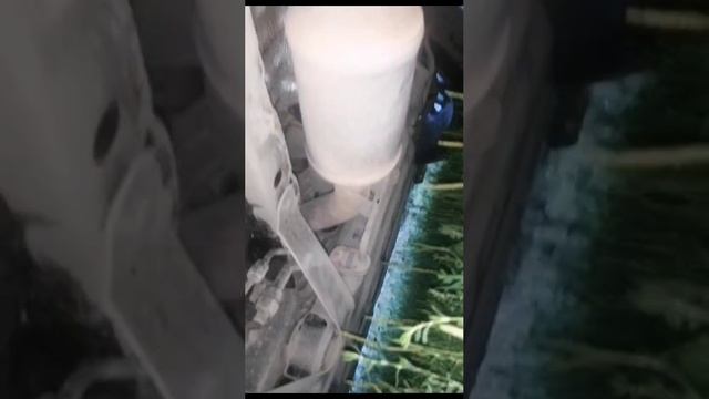GAC стоимость автомобиля от 4 миллионов, владельцы явно недовольны 🙄