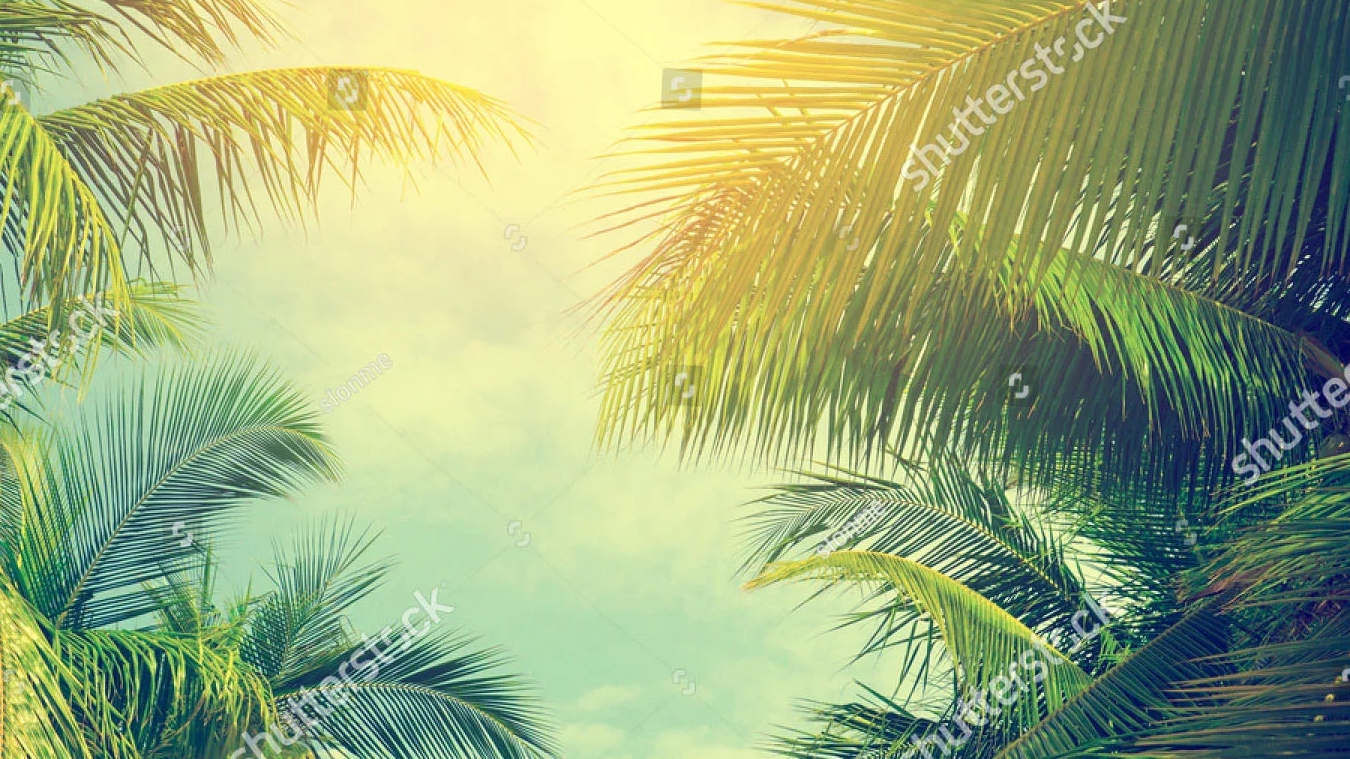 ТРАНСЛЯЦИЯ ПО ИГРЕ WWE2K25(18)ПК