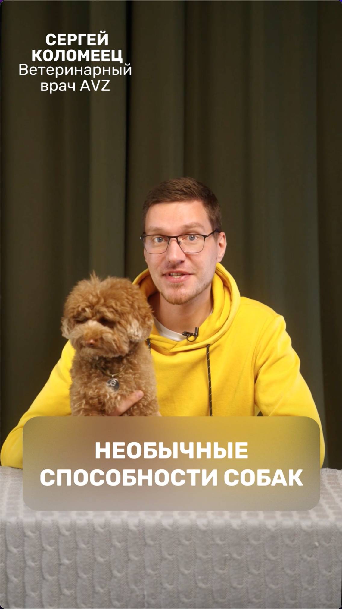 Необычные способности собак