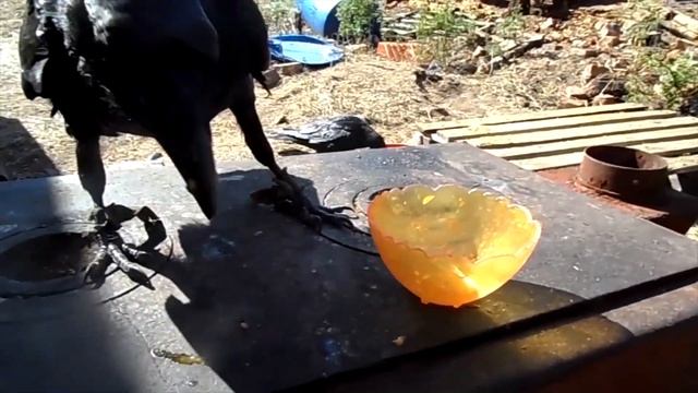 Медовый спас несладок нынче.