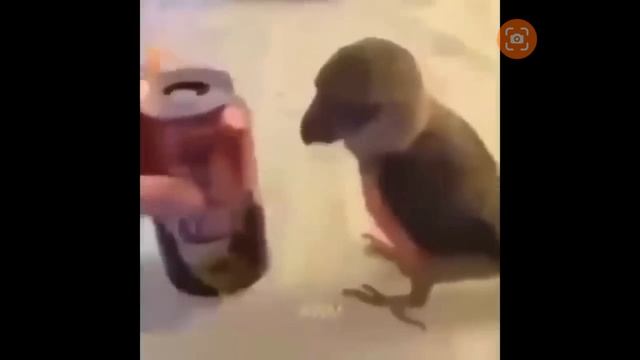 приколы