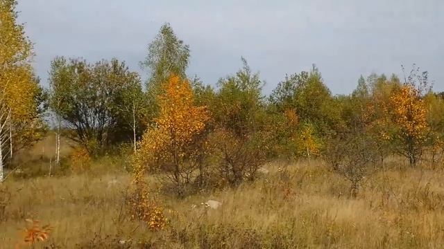 Похід 2016