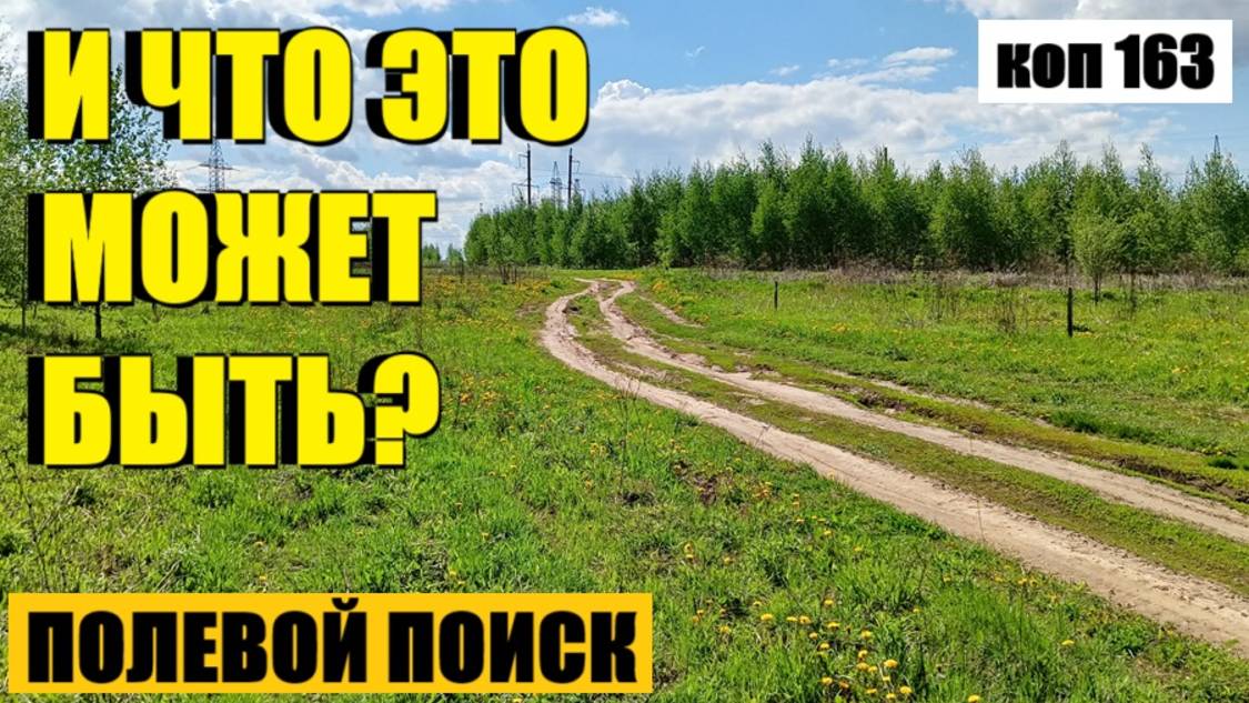 или КАКОЙ ТО, НЕОПОЗНАННЫЙ ПРЕДМЕТ. коп 163