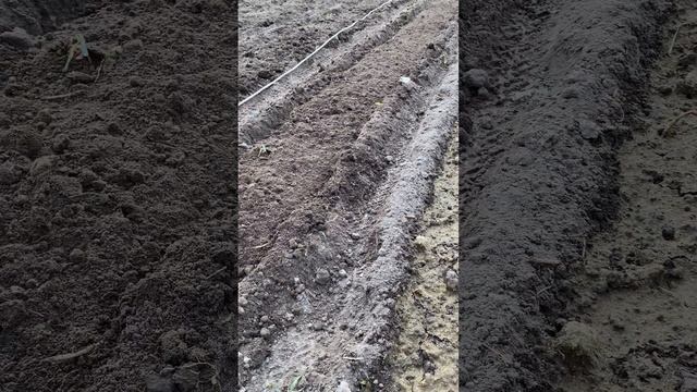 Формируем и удобряем грядки под посадку