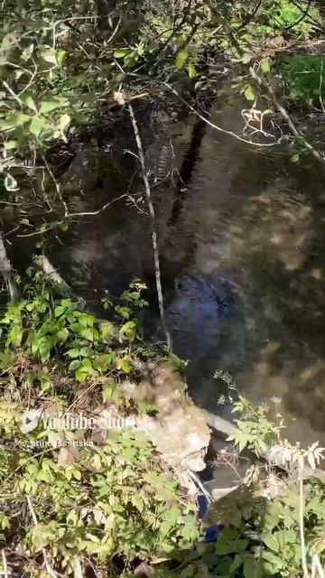 #около родника#такая красота.mp4