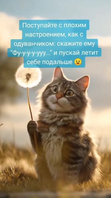 Позитив