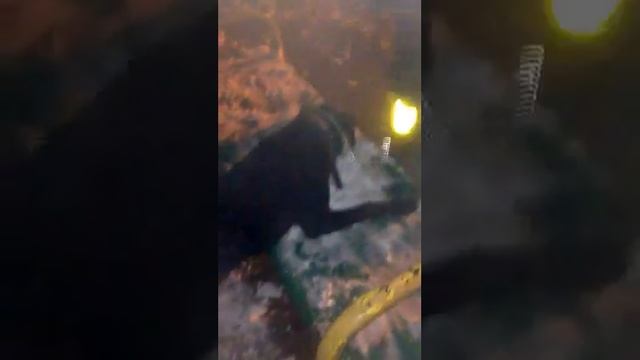 Борьба со снегом