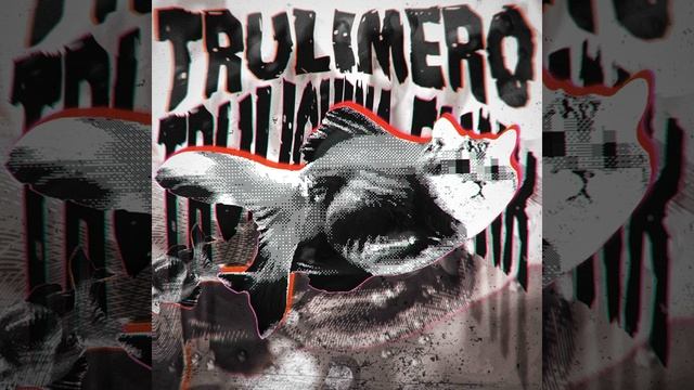 TRULIMERO TRULICHINA FUNK (1)