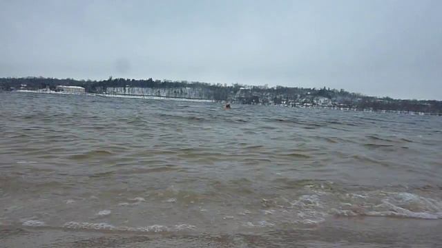 17 янв 2018г,Запорожье,ЦентрПляж,ПЛАВКИ ДОМА,ОПА,ОПА