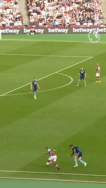 Everyone's DREAM Assist