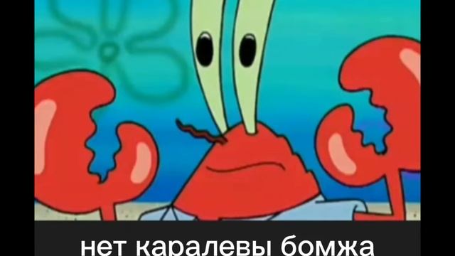 губка боб приколы!