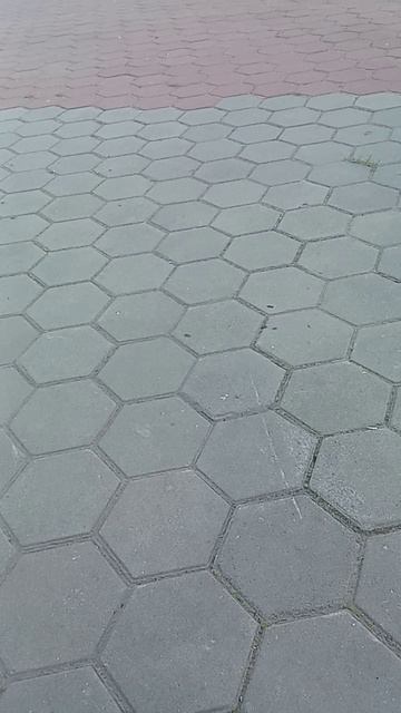 Жизнь