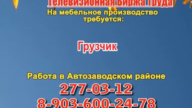13 октября_13.15_РАБОТА В НИЖНЕМ НОВГОРОДЕ_Телевизионная Биржа Труда
