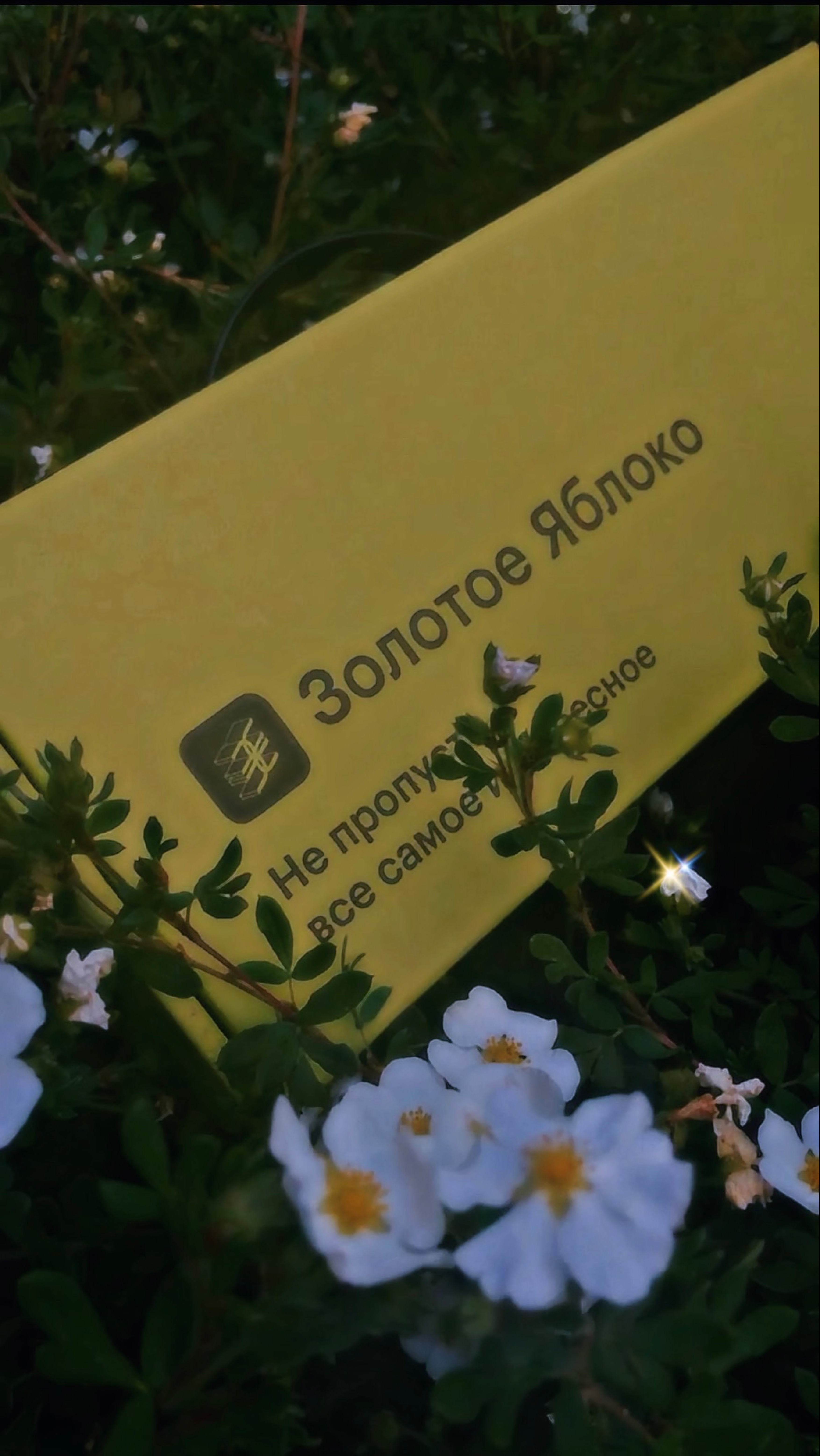 Золотое Яблоко РАСПАКОВКА
