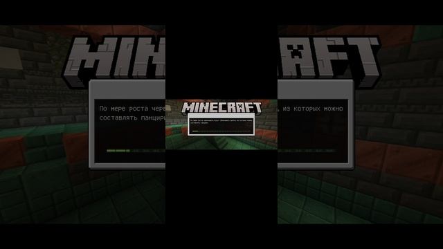 1000052217.mp4