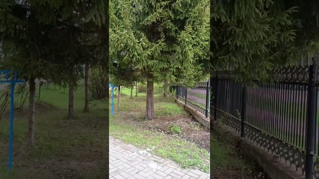 Вахтан. Поездка
