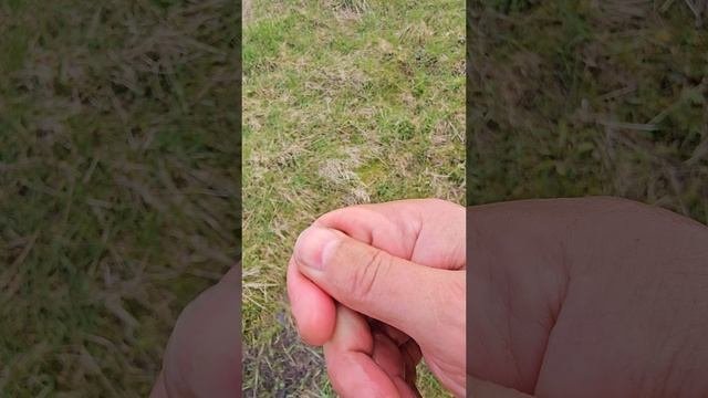 а рядом то ещё монета