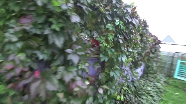 Влог от 17.09.2020