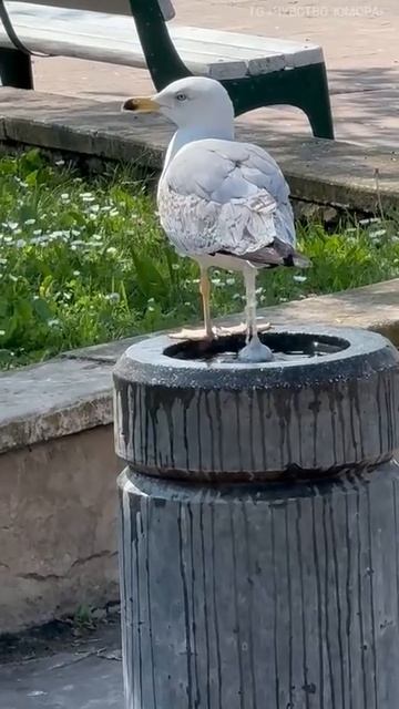 Освежилась в жаркую погоду 😂