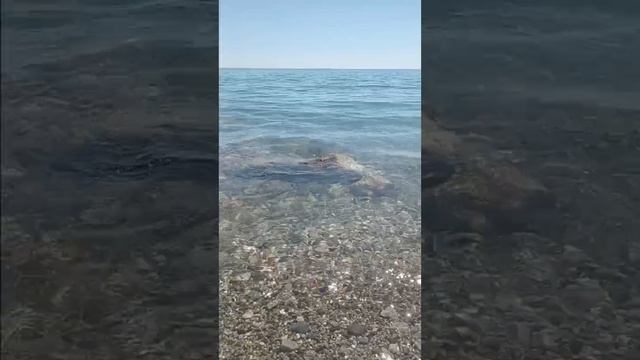 video5269341997885319924