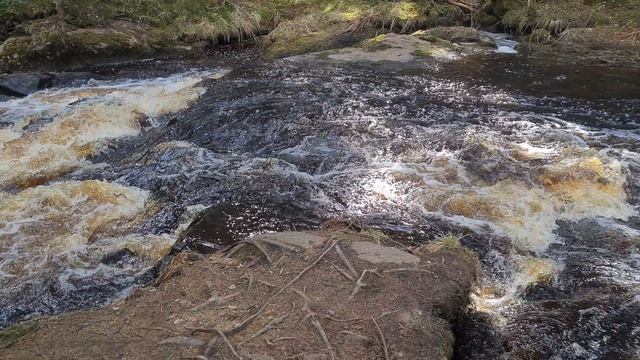 Отпуск в Карелии (долина водопадов, река Иййоки)