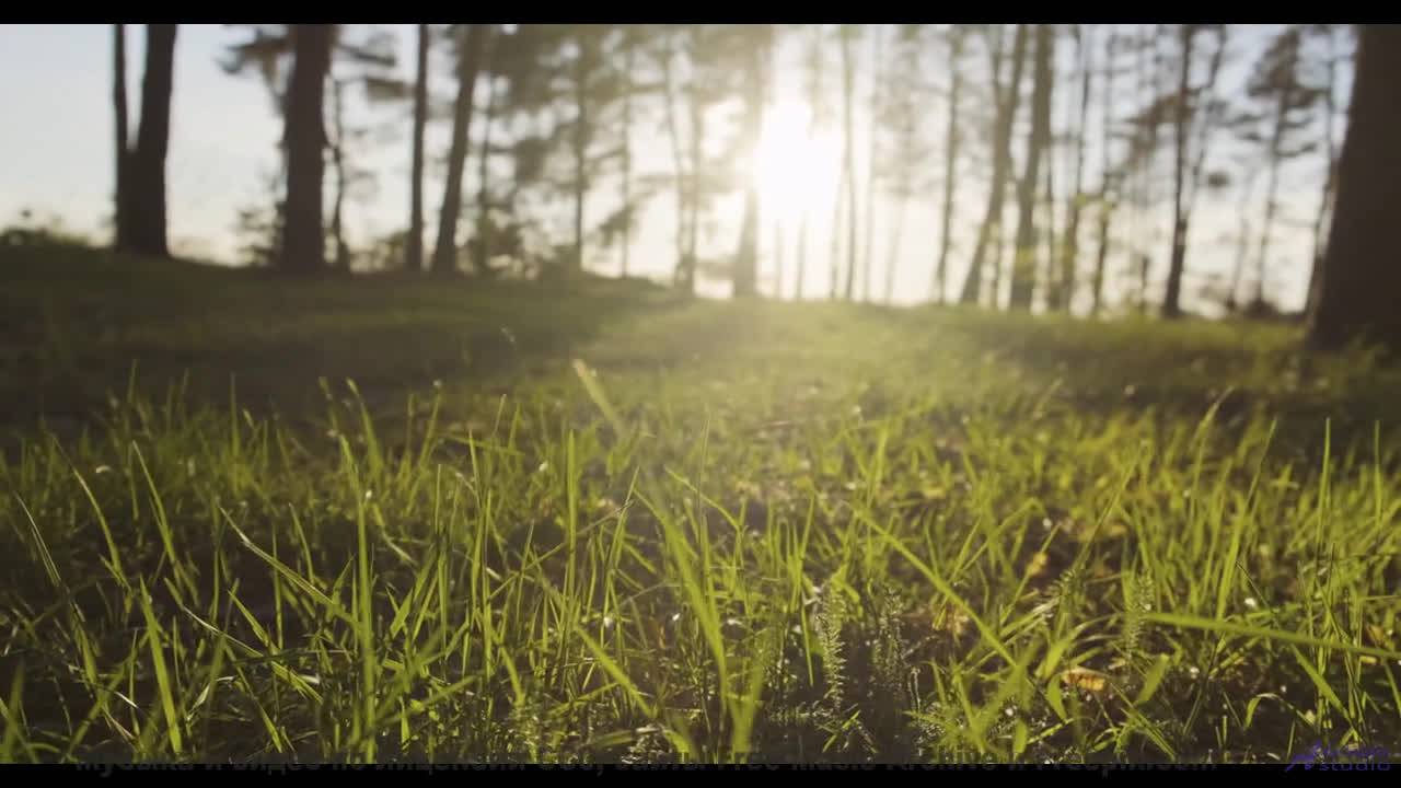 Почему здесь тонут БЕЗ следа - H3W -- Upseen -- El Monstruo