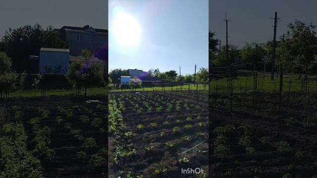 1000002320.mp4